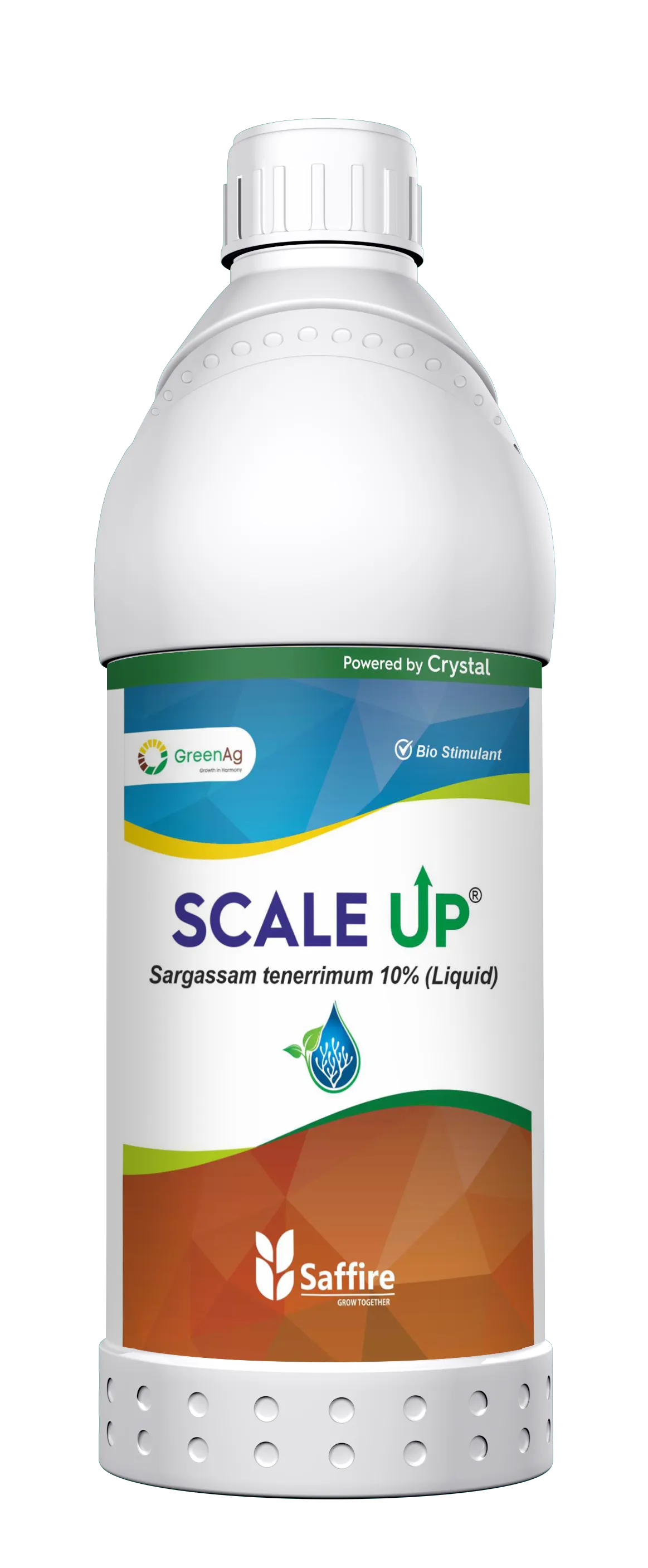 SCALE UP